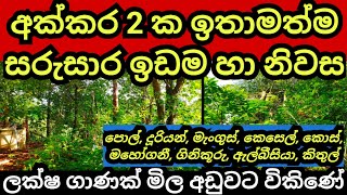 අක්කර 2 ක ඉඩම හා නිවස ලක්ෂ ගාණක් අඩුවට  Land for sale  House for sale  Aduwata idam  idam sale [upl. by Hamforrd295]