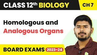 Class 12 Biology Chapter 7  Homologous and Analogous Organs  Evolution 202223 [upl. by Htabmas921]