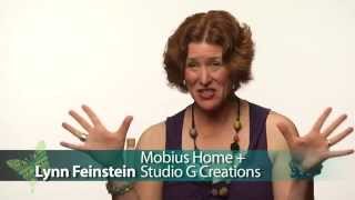 Lynn Feinstein Mobius Home LLC 002 [upl. by Anialed]