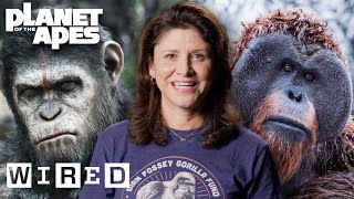 Kingdom of the Planet of the Apes Exclusive Extended Preview 2024 [upl. by Dihahs219]