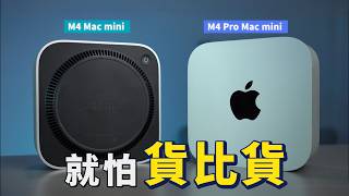 Mac mini 對比測試：M4 vs M4 Pro 兩倍的價格，值得嗎？｜彼得森 [upl. by Benedetta]