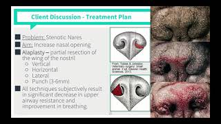 Brachycephalic Airway Syndrome VICE Rounds [upl. by Tyrus179]