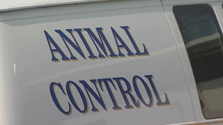 West Hartford residents asking for progress on new animal control building [upl. by Anirrok]