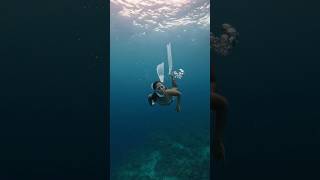 Light as a feather 🧜‍♀️🤿🩵 balicasagisland underwater mermaid bohol [upl. by Binette]