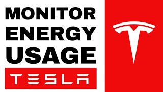 Tesla Energy App Monitoring Energy Usage in Model Y  2024 [upl. by Lissak]