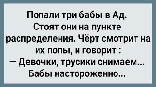 Как Три Бабы в Ад Попали Сборник Свежих Анекдотов Юмор [upl. by Lukasz]