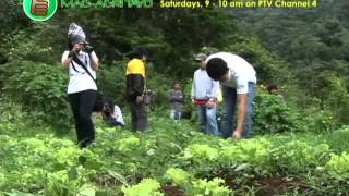 Community Organic FarmingAgroforestry Project Part 1 [upl. by Coshow]