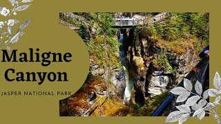 Maligne Canyon on summer time [upl. by Weissman53]