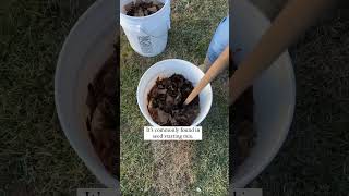 PeatFree Seed Starting Soil gardening gardeningtips [upl. by Naves893]