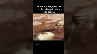 God watches over his people funny hopemelaka memes fyp viralshorts motivation funniestvideo [upl. by Latrice734]