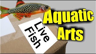 HUGE Aquatic Arts Unboxing  Getting NEW Fish Shrimp and Snails [upl. by Pascasia]