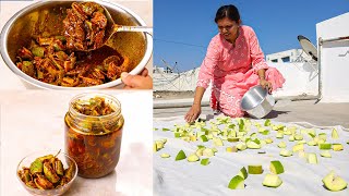 आम का असली अचार कैसे बनाते है  Mango Pickle Recipe  Traditional Aam Ka Achar  Kabitaskitcen [upl. by Ati]