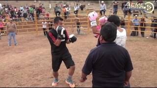 BOX RANCHERO LA CHICOCANA 2015 VOL2 [upl. by Repsag]