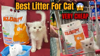 Very Economical Cat Litter  Wooden PalletCat Litter  Best amp Cheap Cat Litter [upl. by Naziaf]