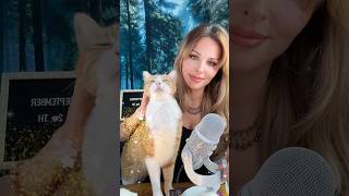 ASMR Cat purring asmrshorts asmrsounds asmrcat asmrpurr [upl. by Adelaida]