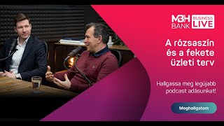 MBH Bank Business Live Podcast  A rózsaszín és a fekete üzleti terv [upl. by Novehc943]