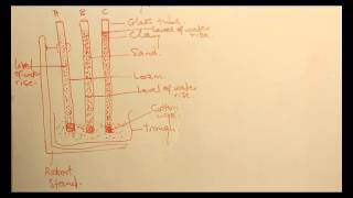 DEMONSTRATION OF SOIL CAPILLARITY [upl. by Yrokcaz399]