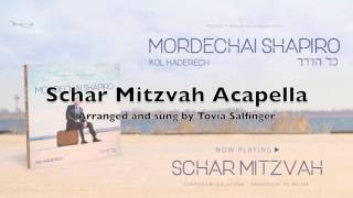 Schar Mitzvah Acapella  By Tovia Salfinger [upl. by Ainwat]