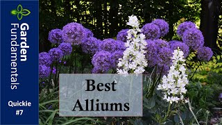 Best Alliums in my June Garden ⏳⌚️⌛️ Garden Quickie 7 [upl. by Ytirahs]