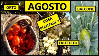 Cosa piantare nel mese di AGOSTO nellOrto e nel Frutteto  Tutorial Agricoltura [upl. by Milson]