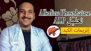 ما هو تحليل ALP و النسبة الطبيعية لانزيم alkaline phosphatase و امراض الكبد  انزيمات الكبد [upl. by Ayaladnot]