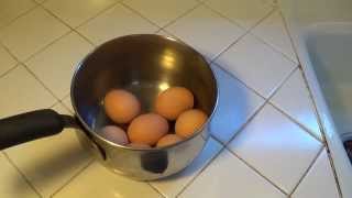 How to Easily Peel a Hard Boiled Egg [upl. by Connell]