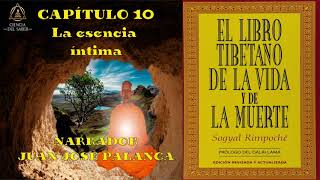 CAPÍTULO 10  AUDIOLIBRO  EL LIBRO TIBETANO DE LA VIDA Y LA MUERTE [upl. by Fonsie]