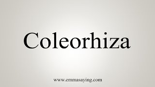 How To Say Coleorhiza [upl. by Holmes548]