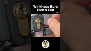 Lock Picking Shorts Winkhaus 5 Pin Euro Cylinder [upl. by Oirramed]