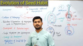 910 Evolution of Seed Habit  Process of seed evolution  kingdom plantae [upl. by Carlee]