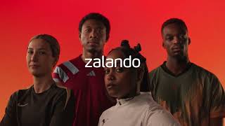 Zalando 2024 [upl. by Lankton]