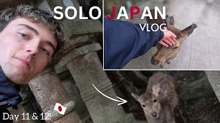 JAPAN SOLO TRAVEL VLOG  DAY 11 amp 12 Nara 🦌 [upl. by Lamrej]