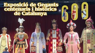 Exposició de Gegants centenaris i històrics de Catalunya 2024 [upl. by Maiocco938]