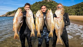 We Found A Shoal With 100s Of HUGE FINGERMARK  INSANE INSHORE SPEARFISHING [upl. by Ping]