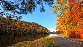 Fall Foliage Peaceful Autumn Life in the American  Nepali Vlogfallfoliage newengland [upl. by Adolf214]