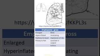 Patterns in Pathology Emphysema Dr GSS SRM MCH RC httpsyoutubeZVkJfKKPL3s [upl. by Owiat501]