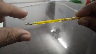 how to check fever with a glass thermometer first time live mercury rising by finger heat 😲🌡️ [upl. by Lyckman740]