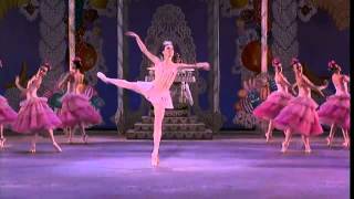 The Nutcracker Waltz of Flowers YouTube [upl. by Stanford]