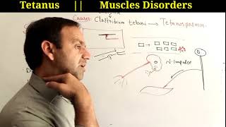 Tetanus  Causes symptoms Complications and treatment of tetanus class 12 Biology [upl. by Knowland571]