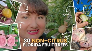 Top 30 NonCitrus Fruit Trees for Florida  Essential Picks Rare Tropicals amp Fun Novelties [upl. by Ahsinom]