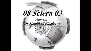 08 ScleraampLimbus part3 الكفراوي أناتومى Elkafrawy Anatomy Basics [upl. by Aztin841]