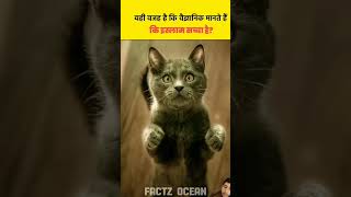 amazingfacts cat vs dog in islam subscribe [upl. by Nariko]