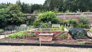 Walled Kitchen Garden at Painshill Park Cobham Elmbridge Surrey [upl. by Aimat]