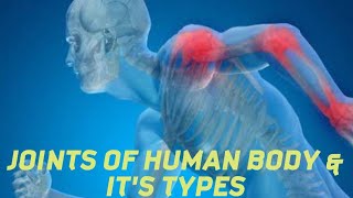 Joints in human body  Types of jointsBone joints [upl. by Eceer165]