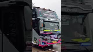 putra gesang basuri kehancuran fypシ゚viral telolet basuri corongatas ngoyodbus [upl. by Tingey]