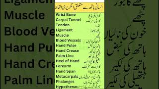 Hand Anatomy Vocabulary in English with Urdu Meanings  Smart Study Zone  Part 3 [upl. by Abner]