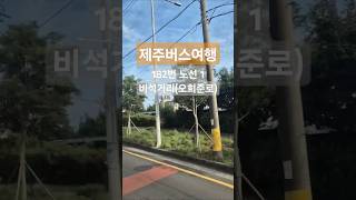 제주도 버스여행 182번 노선 시리즈1 Jeju Island Bus Tour Route 182 Series1 [upl. by Nonnaer924]