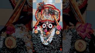 Jagannath Swami Nayana Patha Gami Bharat mein song music cover love jay jagannath ⭕❗⭕🔥📸🔔🌹👏🪷❤️ [upl. by Esineg]