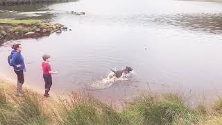 Betsy at Dovestones [upl. by Arekahs]