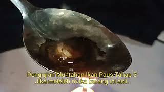 Pengujian Ambergris atau muntahan ikan paus [upl. by Berardo]